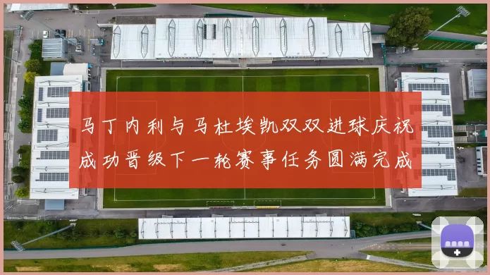 马丁内利与马杜埃凯双双进球庆祝成功晋级下一轮赛事任务圆满完成