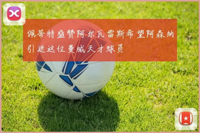 佩蒂特盛赞阿尔瓦雷斯希望阿森纳引进这位曼城天才球员