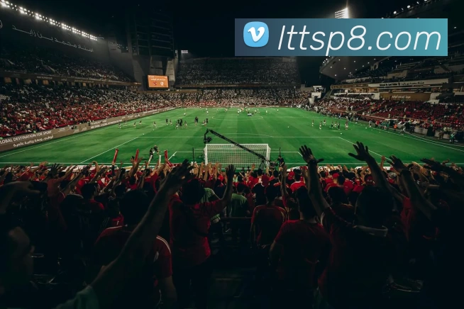 App Interface Preview