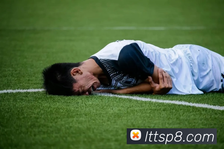 乐天堂体育APP 封面图